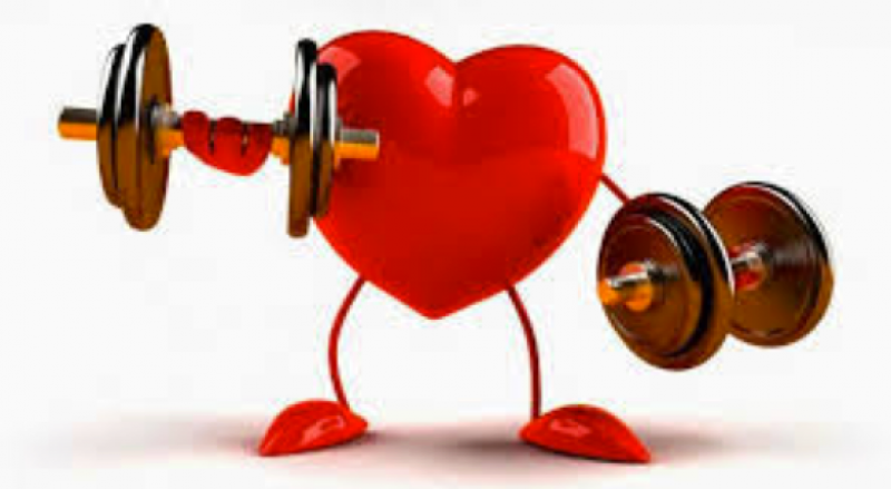 el corazon sirviente musculo